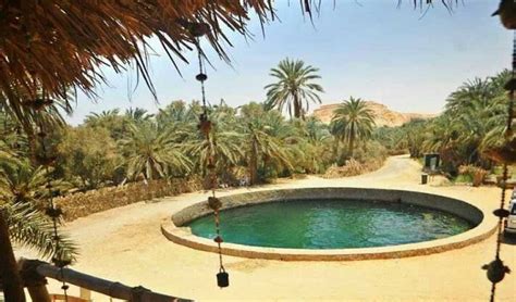 Siwa Safari Tours | Siwa Safari Paradise | Siwa Safari