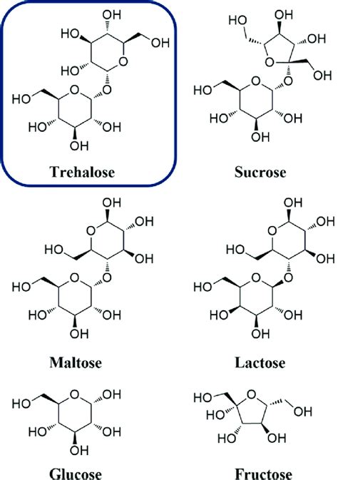 Trehalose Sugar