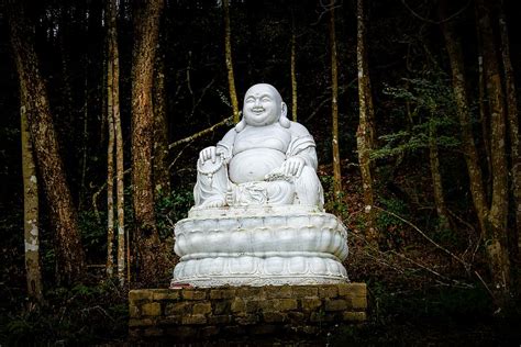 HD wallpaper: laughing Buddha statue, buddhist, buddhism, religion ...