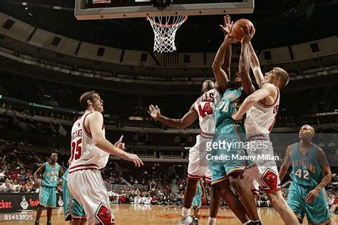 208 Chicago Bulls Adrian Griffin Photos & High Res Pictures - Getty Images