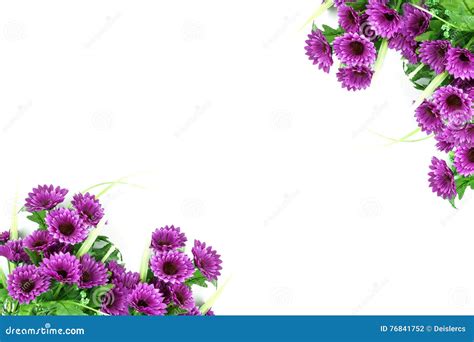 Purple Flower Wallpaper,Border Corner Background, on Whi Stock Photo ...