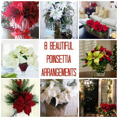 8 Beautiful Poinsettia Arrangements – Home and Garden