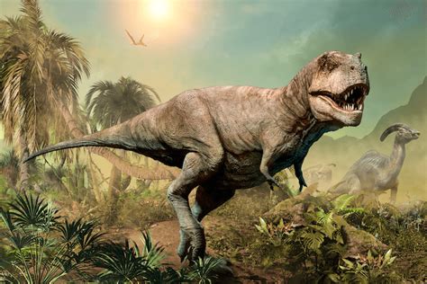 25+ Types of Dinosaurs: A-Z List Of Dinosaur Species - More Reptiles