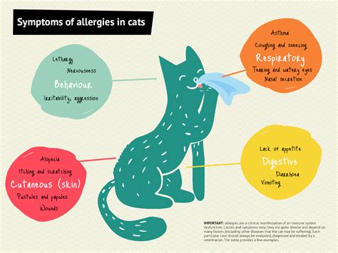 Sani's Corner | Sanicat | Cat allergies, Allergies, Cat allergy remedies