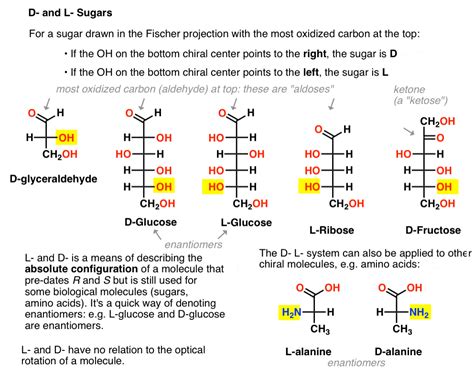 D and L Sugars — Master Organic Chemistry