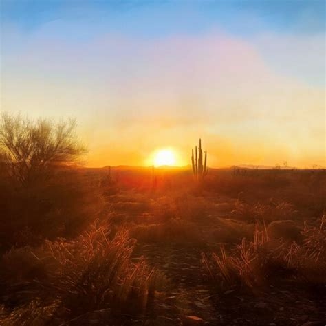 Sonoran Desert Landscape - Etsy