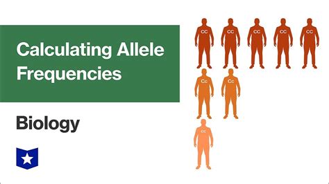 Calculating Allele Frequencies | Biology - YouTube