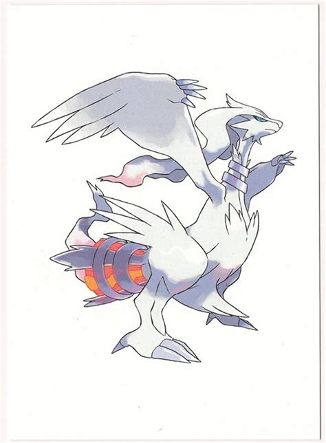 Pokemon Reshiram Black White Game Art Folio sheet