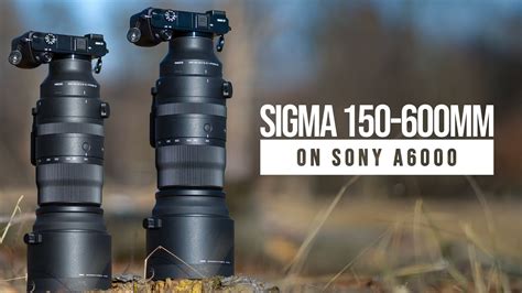 SIGMA 150-600mm on SONY A6000 (Lens Review on APSC) - YouTube