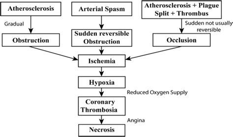 Myocardial Infarction Pathophysiology Concept Map Map Of World | The Best Porn Website