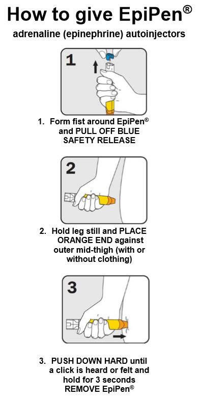 Epipen Instructions For Use