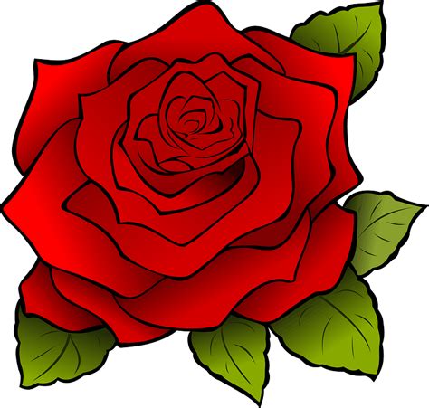 Red Rose clipart. Free download transparent .PNG | Creazilla