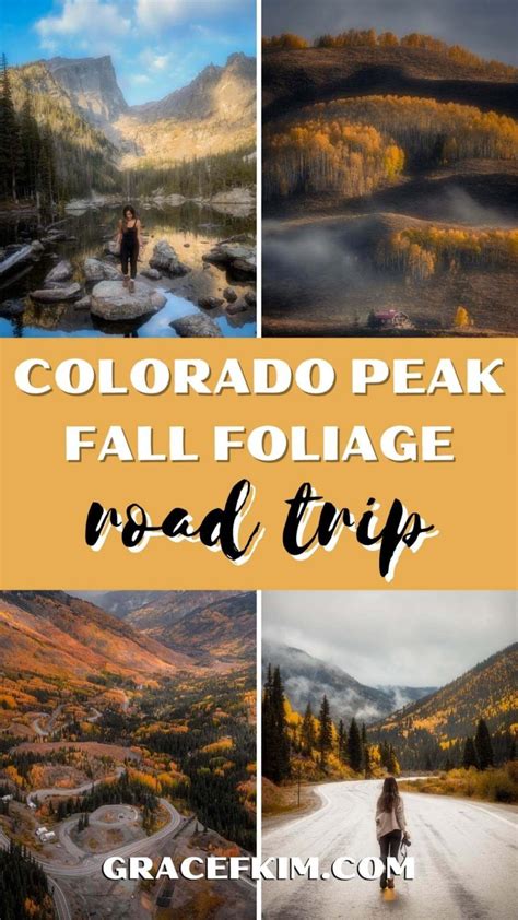 The Complete Chasing Fall Foliage in Colorado Travel Guide | gracefkim