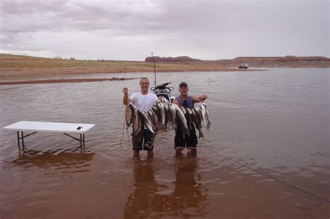 Some camping/ Fishing pics. Lake Powell, Utah - Toyota FJ Cruiser Forum