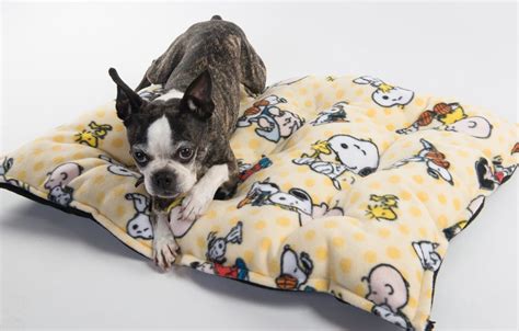 Snoopy Dog bed Peanuts dog bed Charlie Brown dog bed