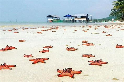 2023 Sightseeing to the South of Phu Quoc Island and Relax on Sao Beach