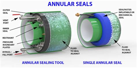 Annular Seals - Mechanical Research & Design, Inc. | Custom Sealing ...