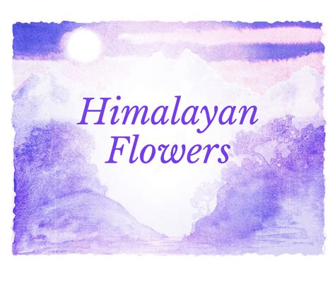 Himalayan Flowers | Himalayan Flower Enhancers