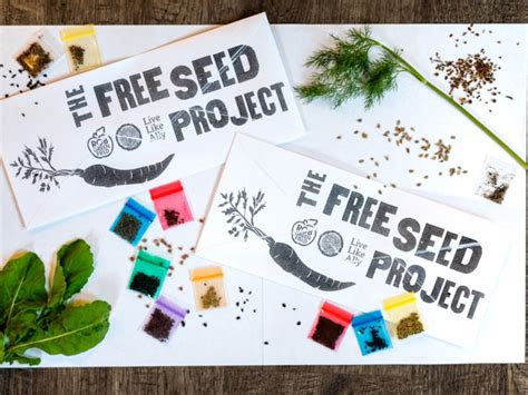 How to Get Free Seeds for Your Garden | Vegetables, Fruit + More