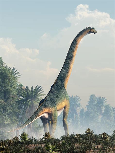 Giant Sauropod Walking Away Digital Art by Daniel Eskridge