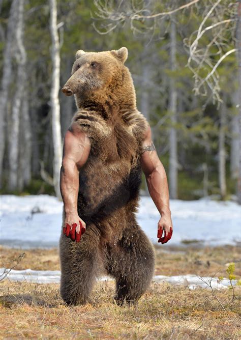 Manbearpig 2.0 : r/HybridAnimals