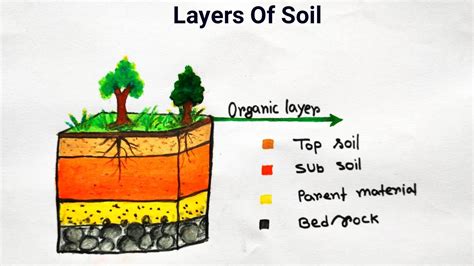 Soil Profile For Kids