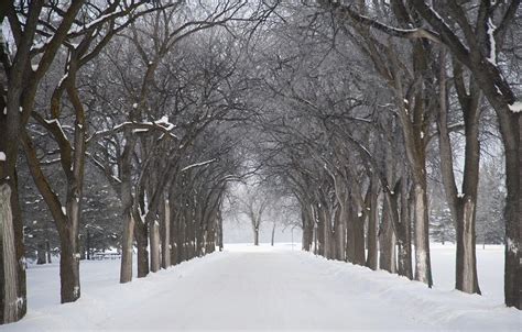 Assiniboine Park, Winnipeg, Manitoba Photograph by Keith Levit - Fine Art America