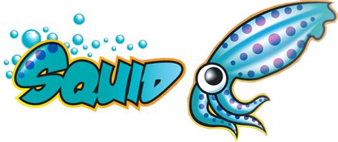 Configuring Squid as a Transparent Proxy | Dominik Rys