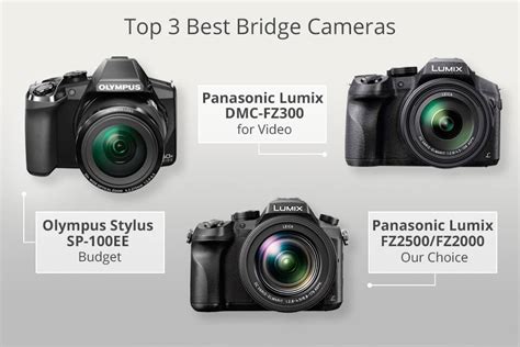 15 Best Bridge Cameras - What Is the Best Superzoom Camera?