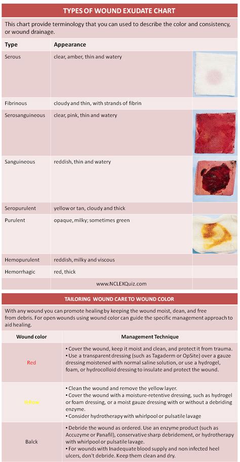 Clear Wound Drainage Is Described as