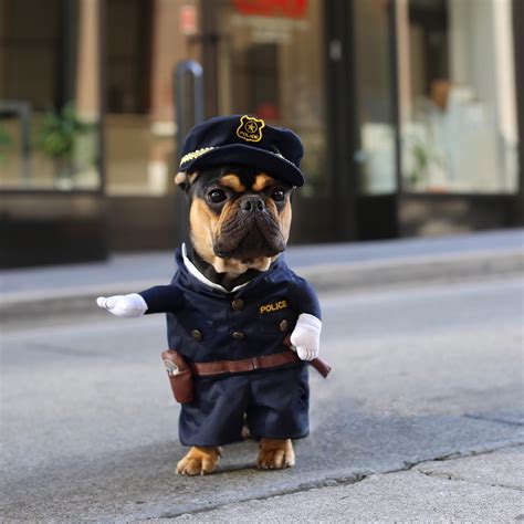 Cute Police Officer Dog Costume - Costume Yeti