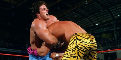 10 WWE Matches From The 1980s That Aged Surprisingly Well