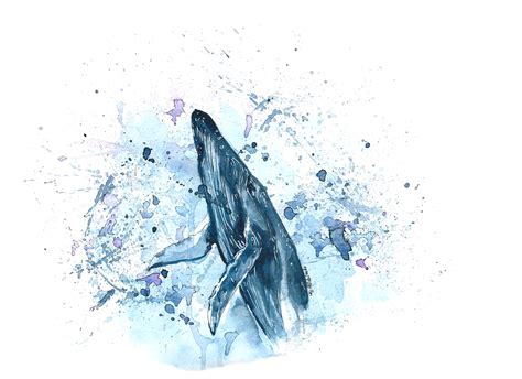 Blue Whale watercolor painting on Behance