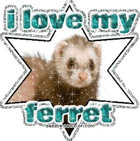 Ferret Love Quotes. QuotesGram