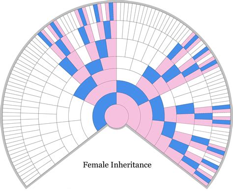 Female X-DNA Inheritance Chart - Unlocking the Genealogical Secrets of ...