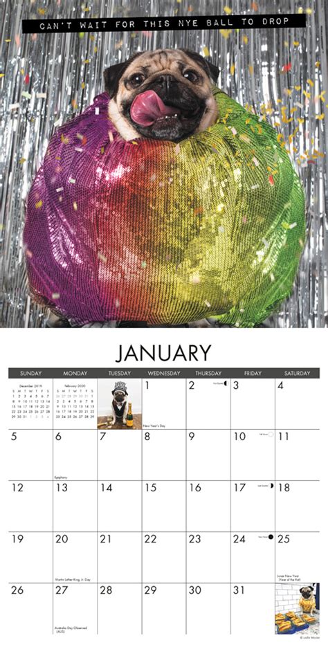 Doug the Pug 2020 Wall Calendar