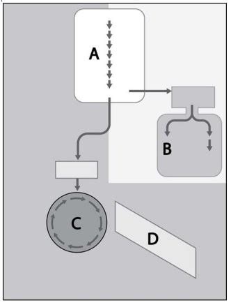 Chapter 5 Microbial Metabolism Diagram | Quizlet