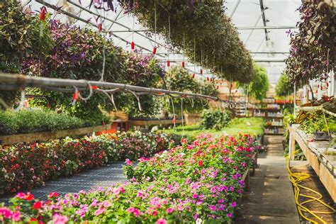 Unique nurseries In and around Cape Town | SA Garden and Home