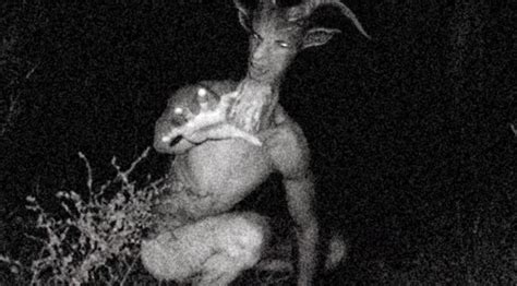 Urban Legend Goatman Sighted In Three States