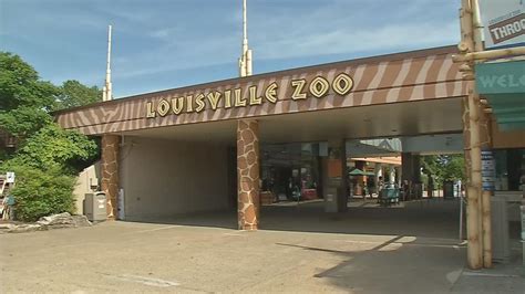 Again over budget, Louisville Zoo will increase some ticket prices and ...