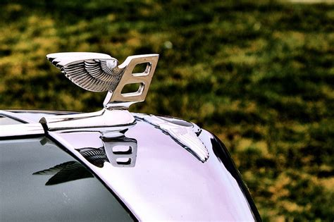 Bentley emblem | Bentley emblem, Bentley, Car emblem