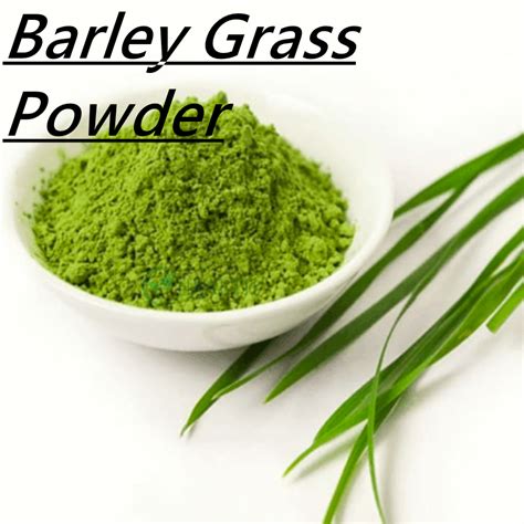 barley grass powder - Yhealthbio.com