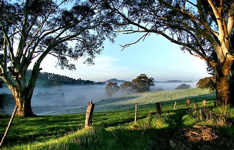 A Day Out in Australia's Adelaide Hills | Tobias Kappel