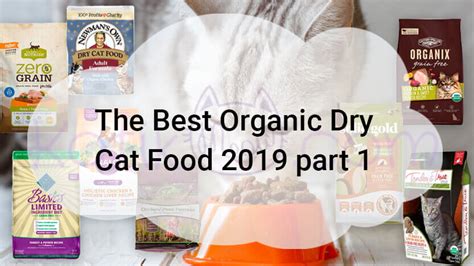 The Best Organic Dry Cat Food 2019 part 1 - Kotikmeow