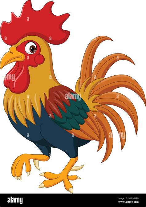 Cartoon funny rooster on white background Stock Vector Image & Art - Alamy