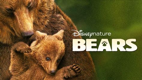 Best Disneynature Documentaries | What's On Disney Plus