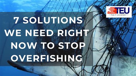 7 SOLUTIONS WE NEED RIGHT NOW TO STOP OVERFISHING I Ocean life ...