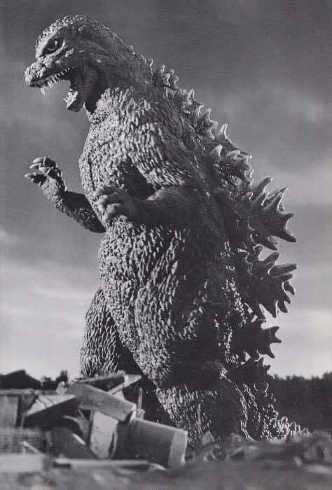 Godzilla King of the Monsters 1956 - MeadowilCervantes