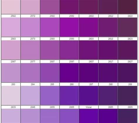 Pin by Rachael L on PURPLE PURPLE | Shades of purple chart, Purple ...