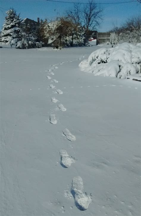 “Footprints in the Snow” – Musings of a "retired" game designer